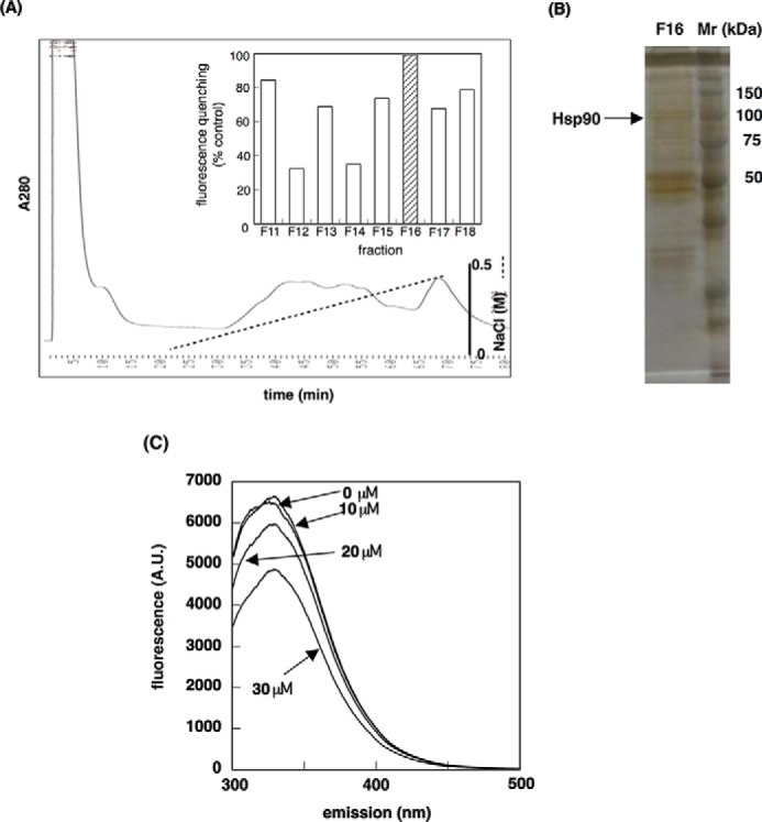 FIGURE 2.