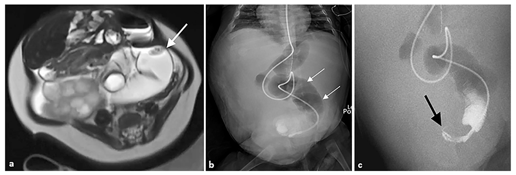 Fig. 5.