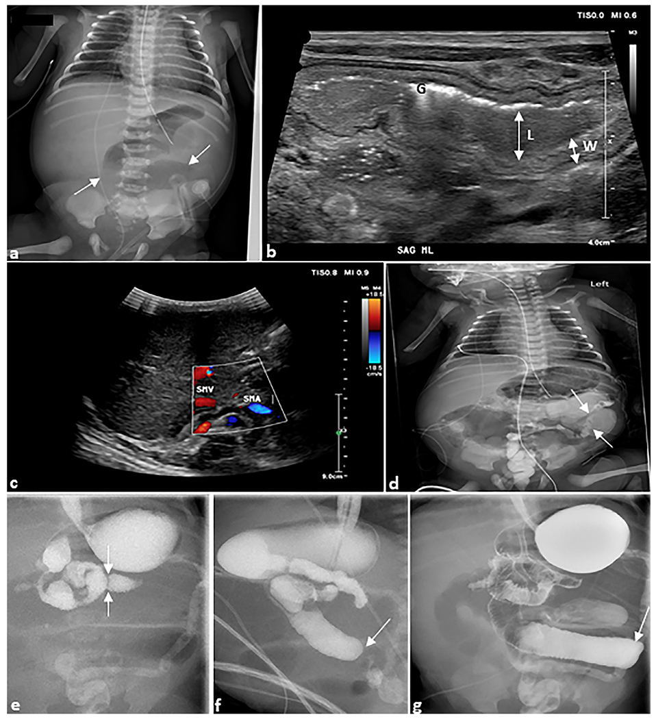 Fig. 6.