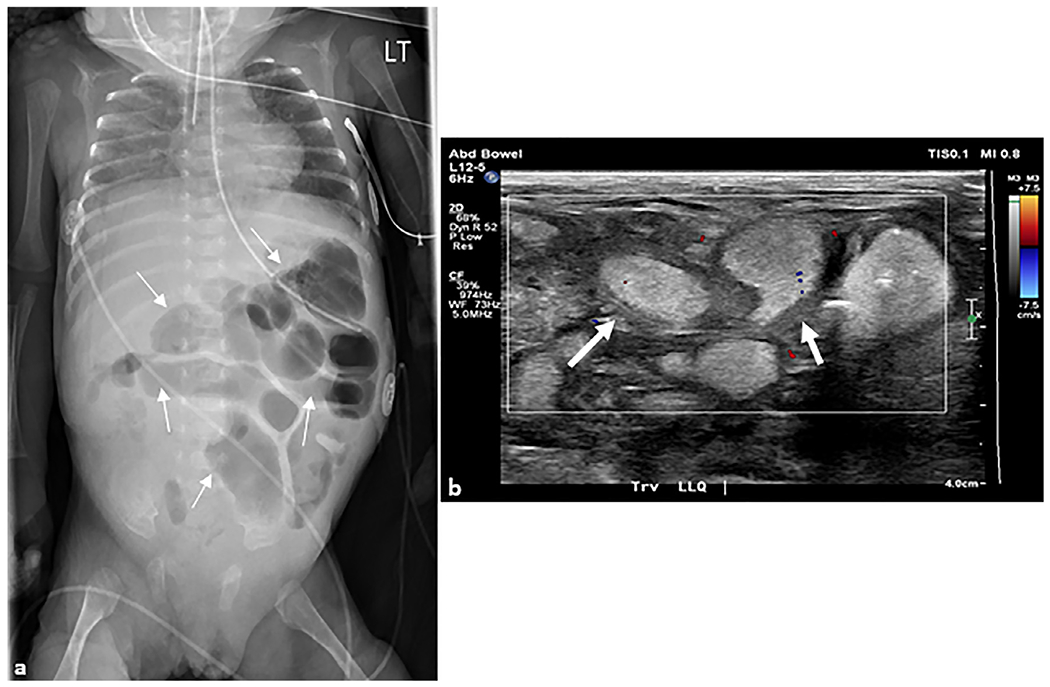 Fig. 8.