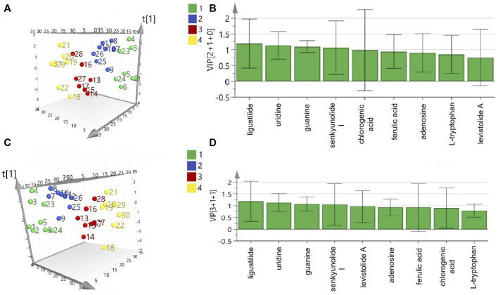 FIGURE 3