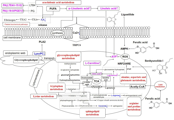 FIGURE 12