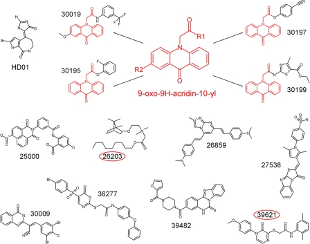 FIGURE 4.