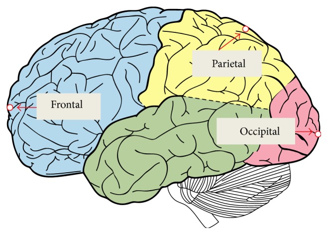 Figure 7