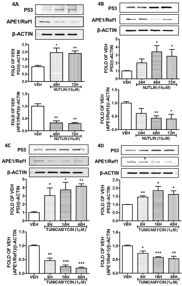 Figure 4: