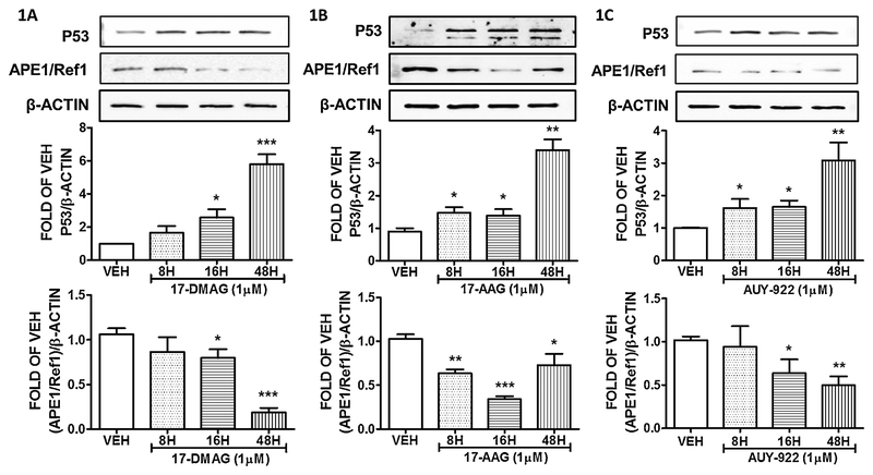 Figure 1: