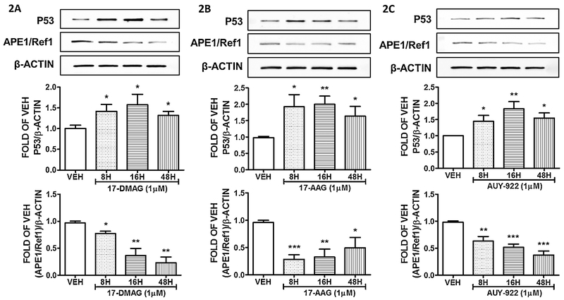 Figure 2: