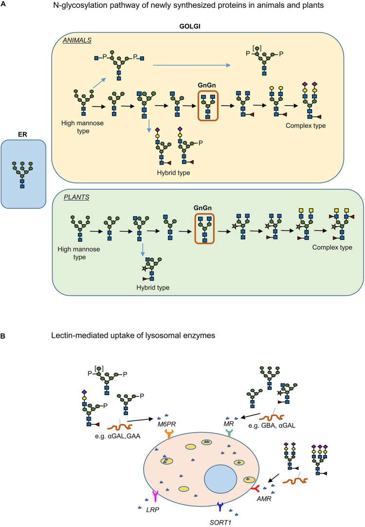 FIGURE 4