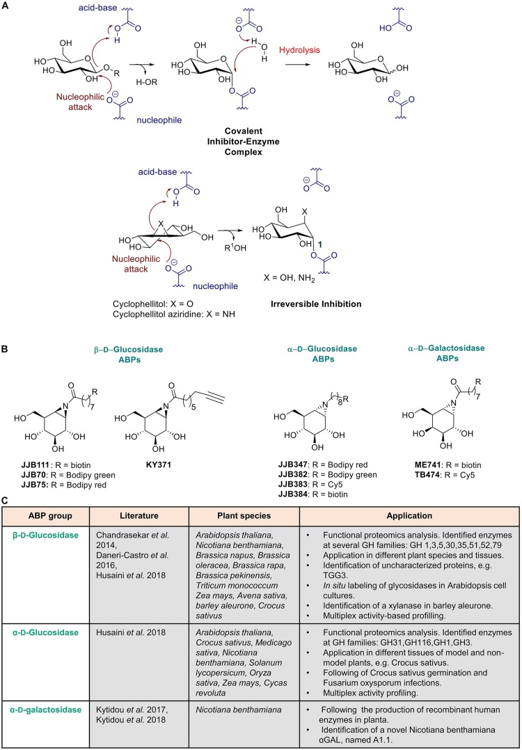 FIGURE 3