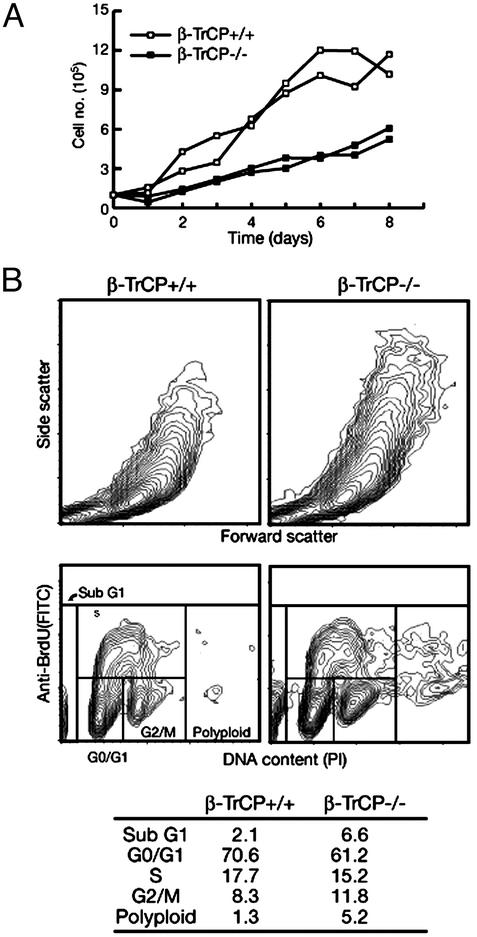 Fig. 5.