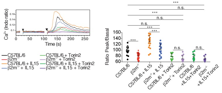 Figure 7—figure supplement 2.