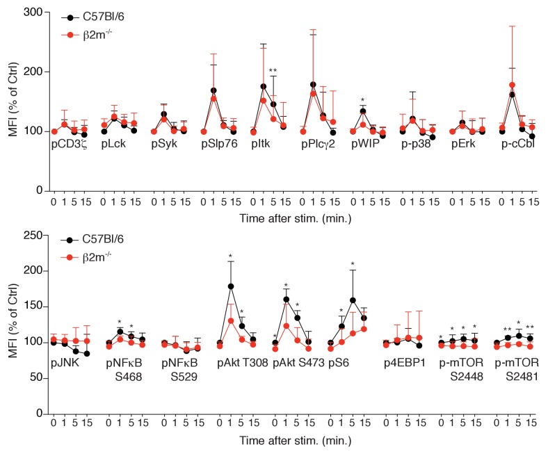 Figure 1—figure supplement 3.