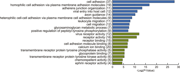 Figure 4