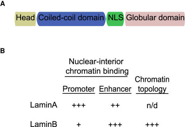 Figure 1.