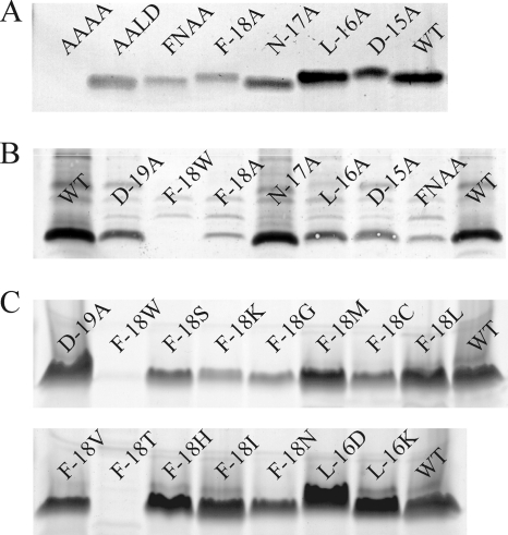 FIG. 3.