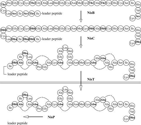 FIG. 1.