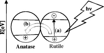 Fig. 9