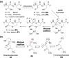 Figure 24