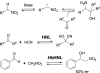 Figure 40