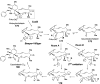 Figure 46