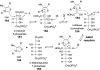 Figure 38