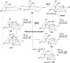 Figure 32