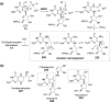 Figure 61