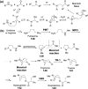 Figure 34