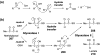 Figure 54