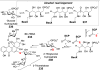 Figure 63