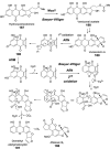 Figure 48