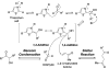 Figure 35
