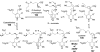 Figure 26