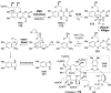 Figure 45