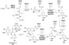Figure 21