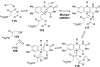 Figure 28