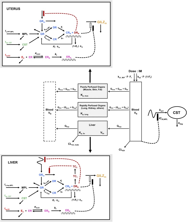 Fig. 2.