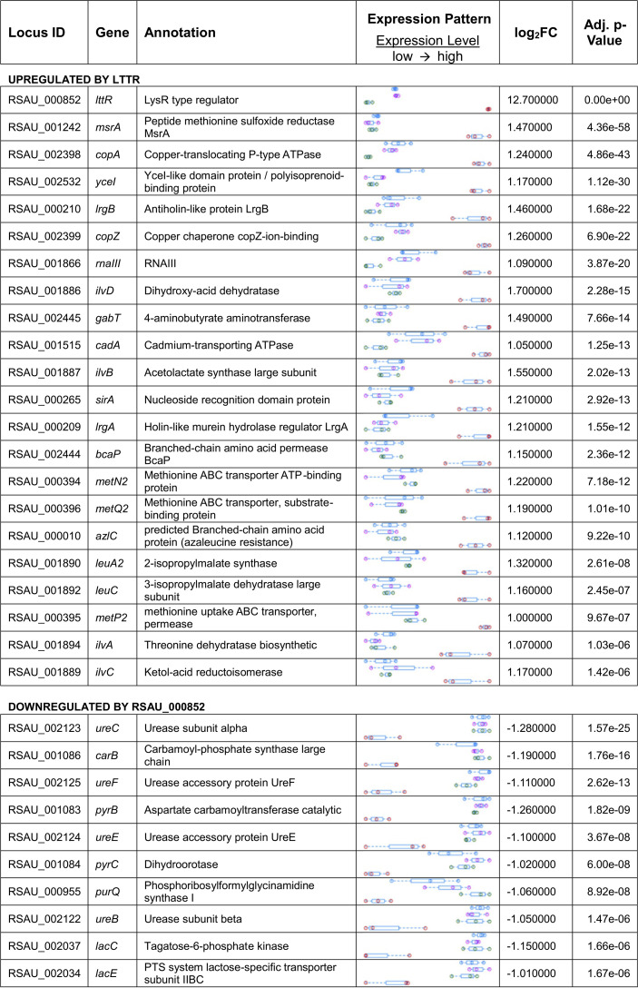 graphic file with name mBio.01646-20-t0002.jpg