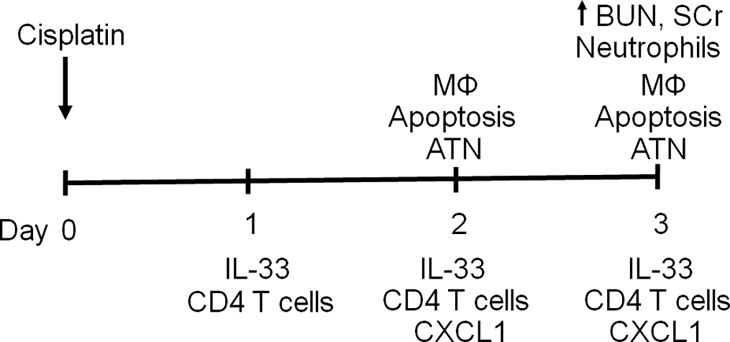 Figure 10.