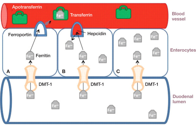 FIG 3