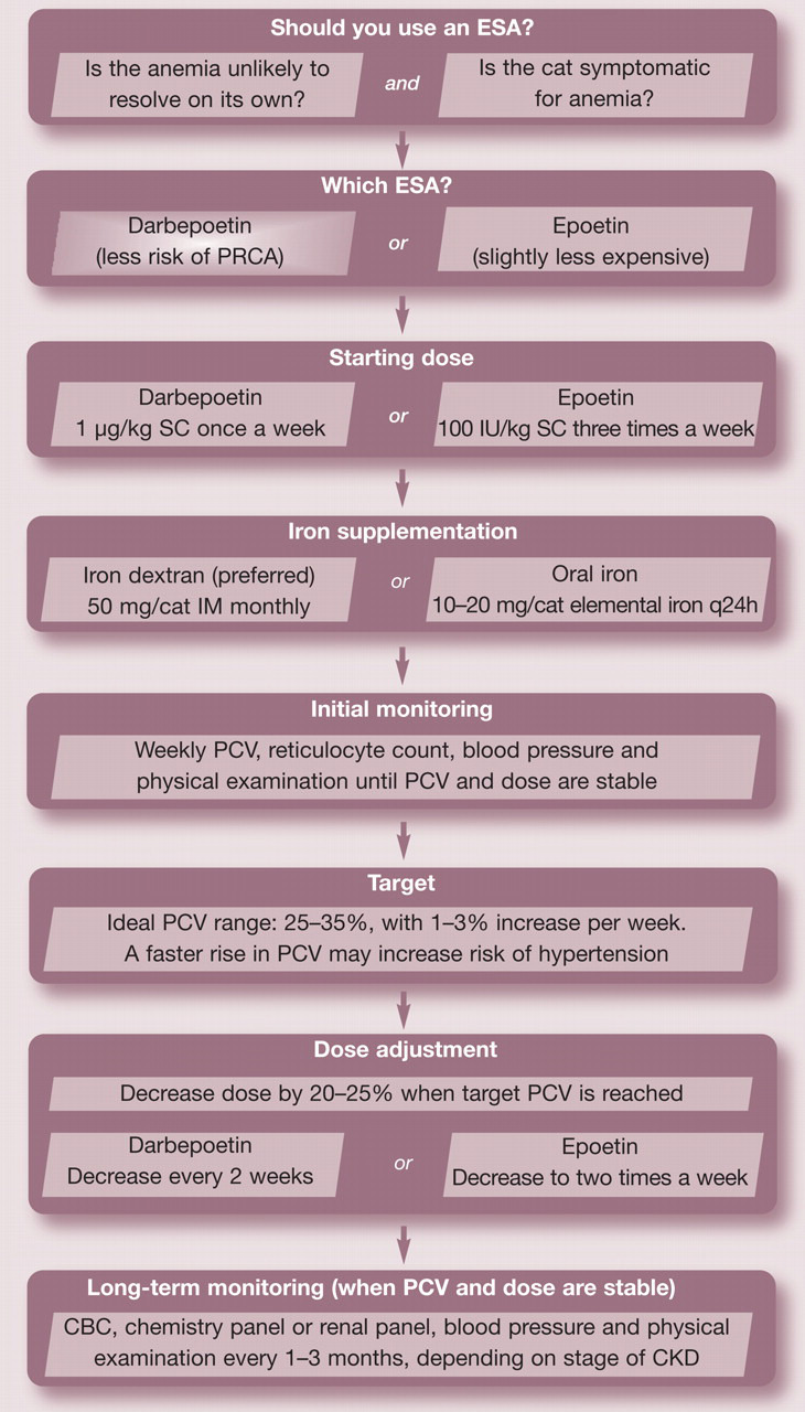 graphic file with name 10.1016_j.jfms.2011.07.016-fig9.jpg