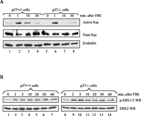 FIG. 9.