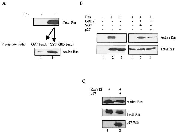 FIG. 10.