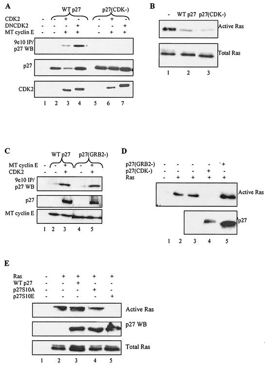 FIG. 11.