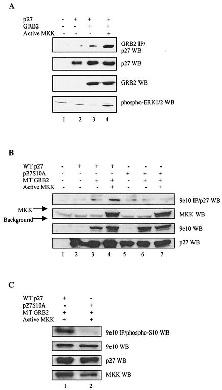 FIG. 8.