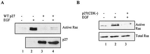 FIG. 12.