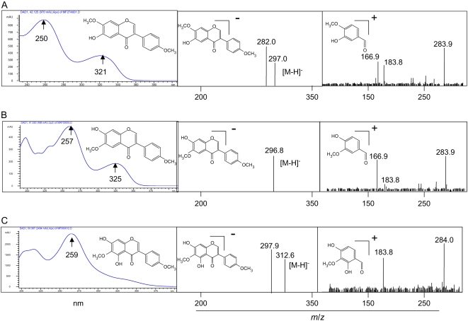 Figure 5.