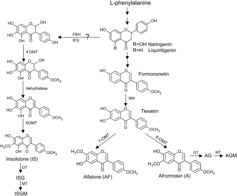 Figure 9.