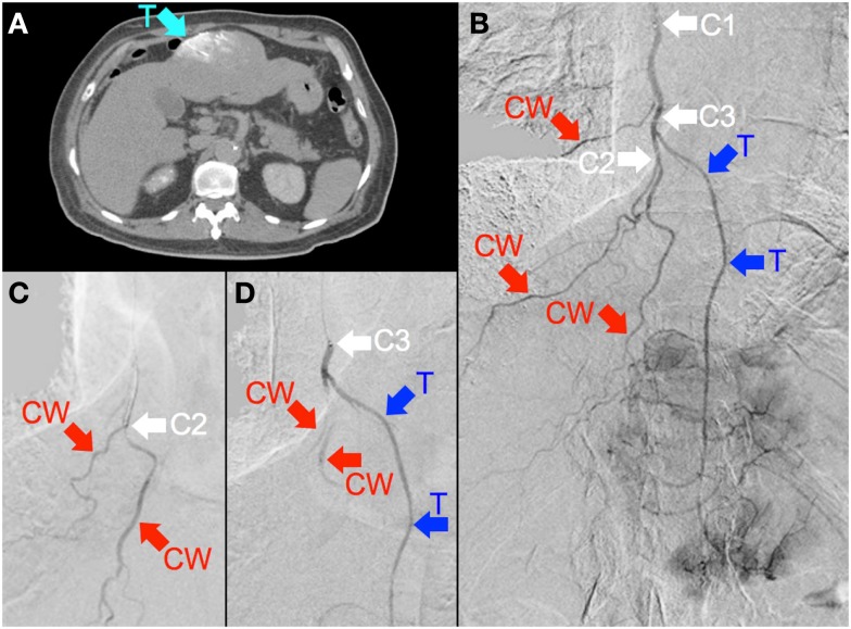 Figure 6