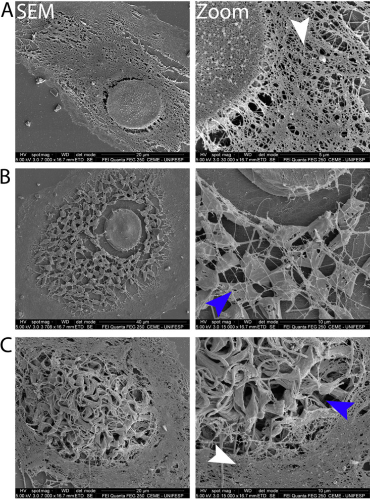 FIG 6